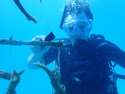 Male student snorkeling with coral