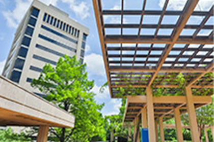 Building next to plaza with wood cover