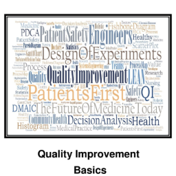 QI Basics Primer page