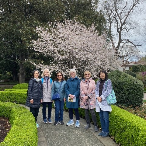 6 women in coats stand outside in garden in front of tree covered with white buds