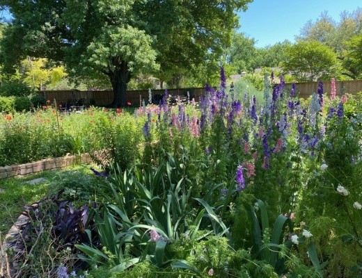 Flower beds