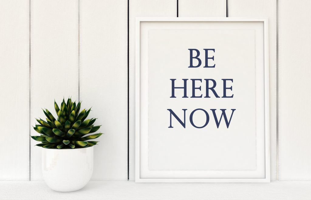green potted plant against white paneled wall and a sign Be Here Now