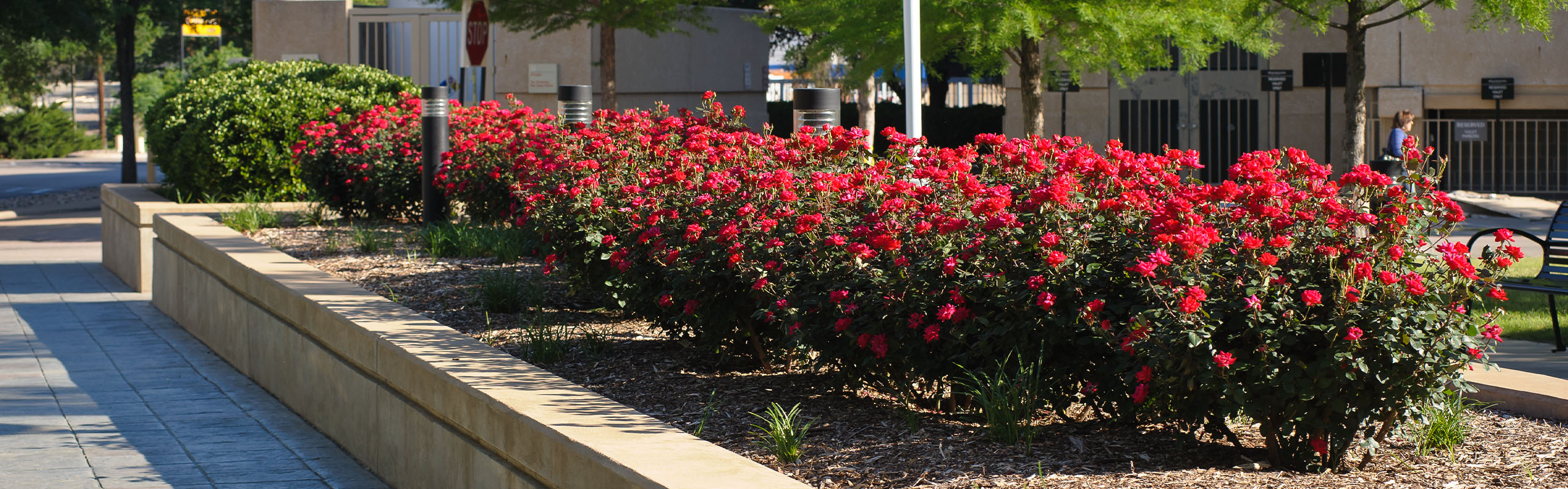 outpatient-building-flowers-desktopv2.jpg