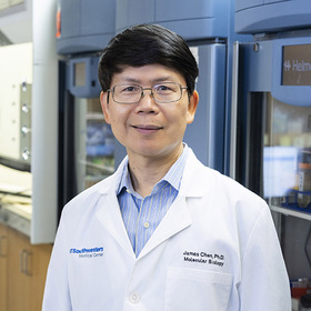 UT Southwestern biochemist Zhijian ‘James’ Chen to receive 2026 Brinster Prize