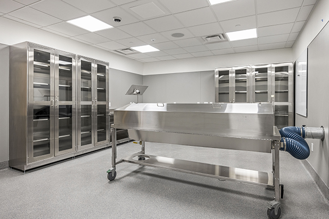 The new, state-of-the-art, anatomy laboratory