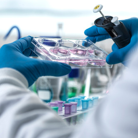 Nanovaccine shows great promise for treating HPV-related cancers