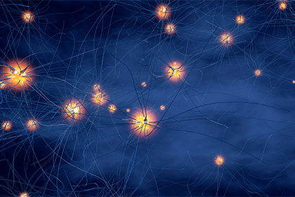 &ldquo;Reelin&rdquo; in a new treatment for multiple sclerosis