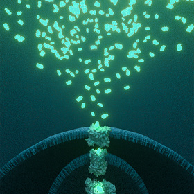 New biosensor tracks down missing metabolite from childhood brain disorder