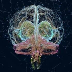 27th Annual PM&R Scientific Day