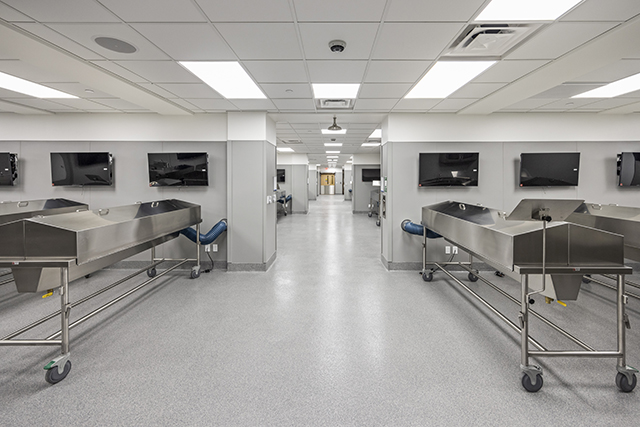The new, state-of-the-art, anatomy laboratory