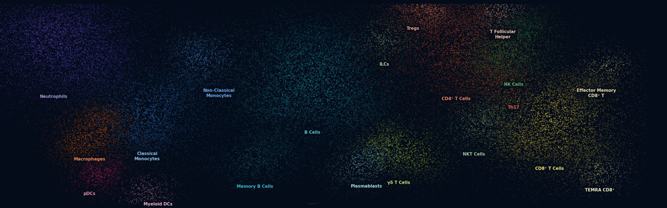 Flow & Mass Cytometry Core banner