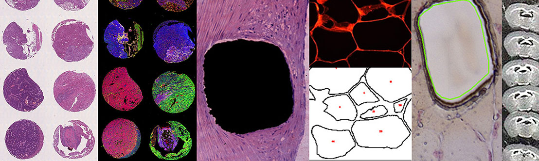 subpage banner 7 specialized techniques desktop tablet