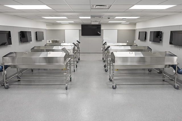 The new, state-of-the-art, anatomy laboratory