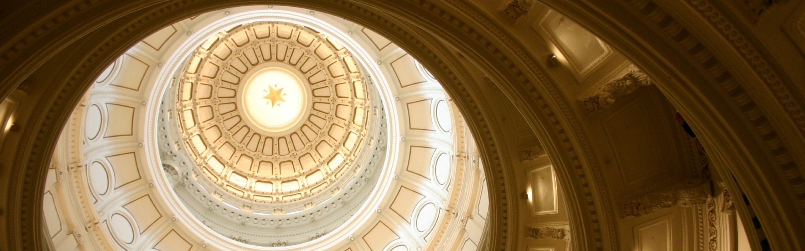 Texas State Capital dome full banner narrow
