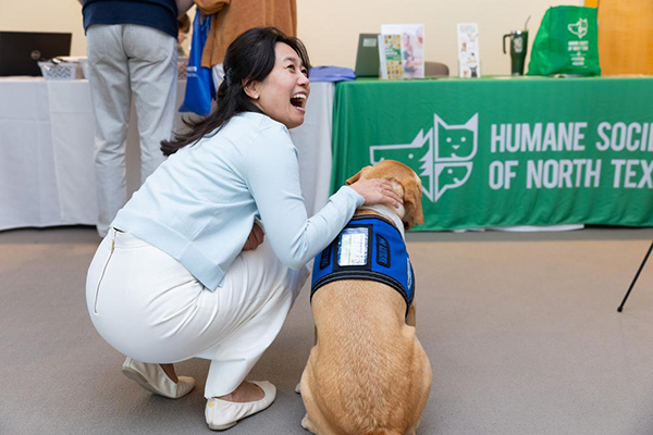 Yellow lab, Tia, received pets from female attendee