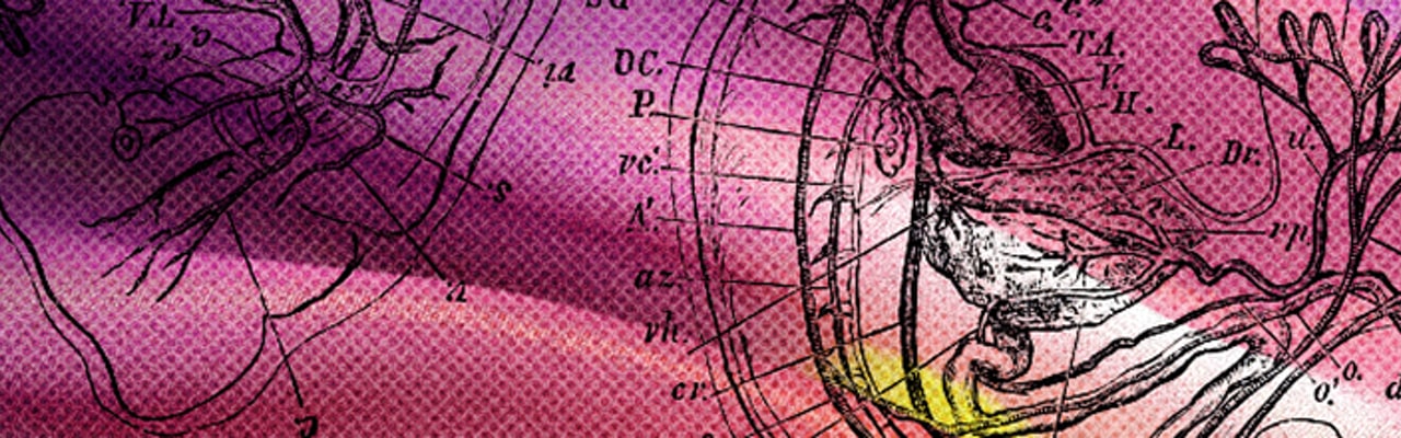banner-maternal-fetal-1280x400.jpg
