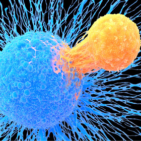 UTSW Research: T cells, lung health, cash support for heart patients