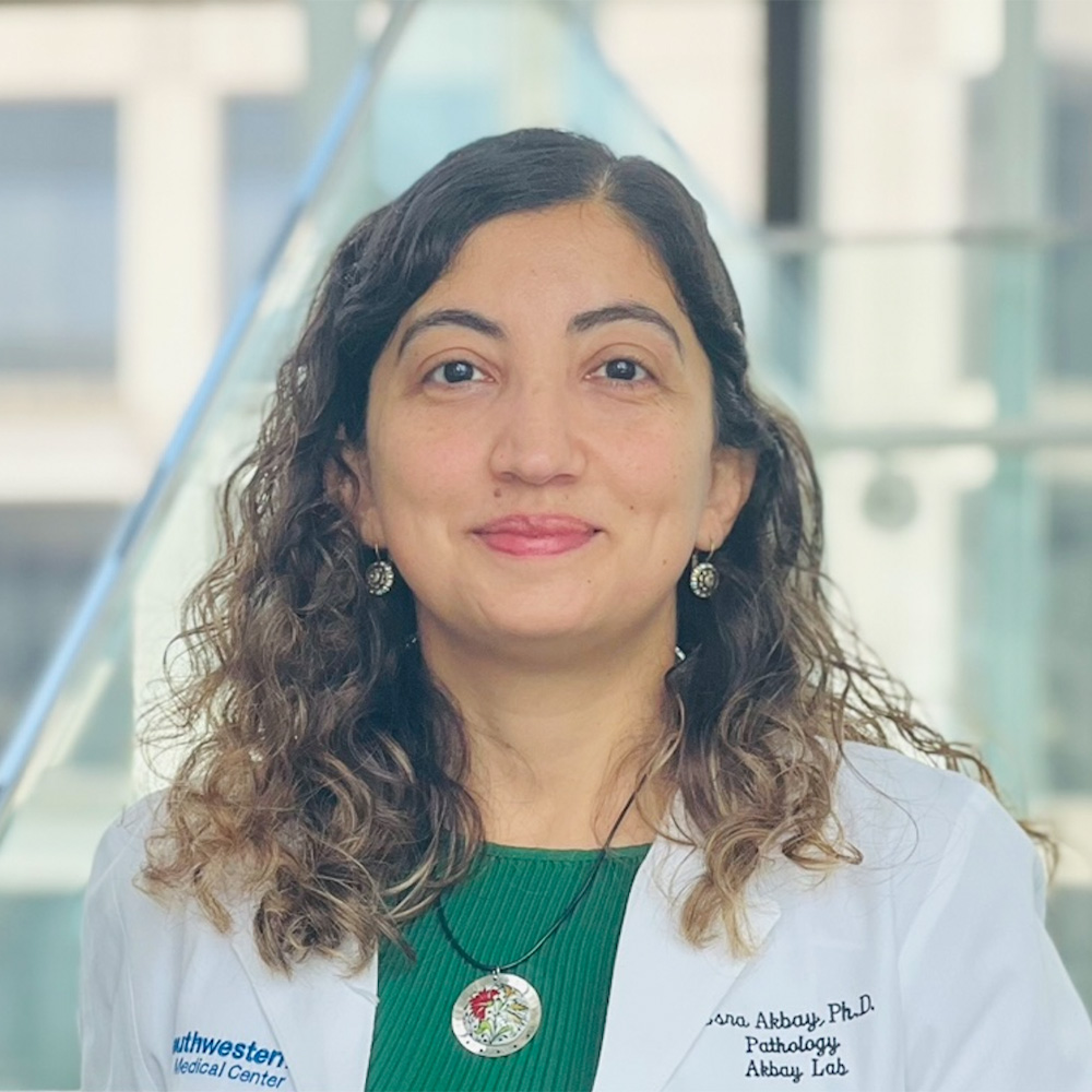 Esra and team study could lead to personalized therapies based on the KRAS mutation type