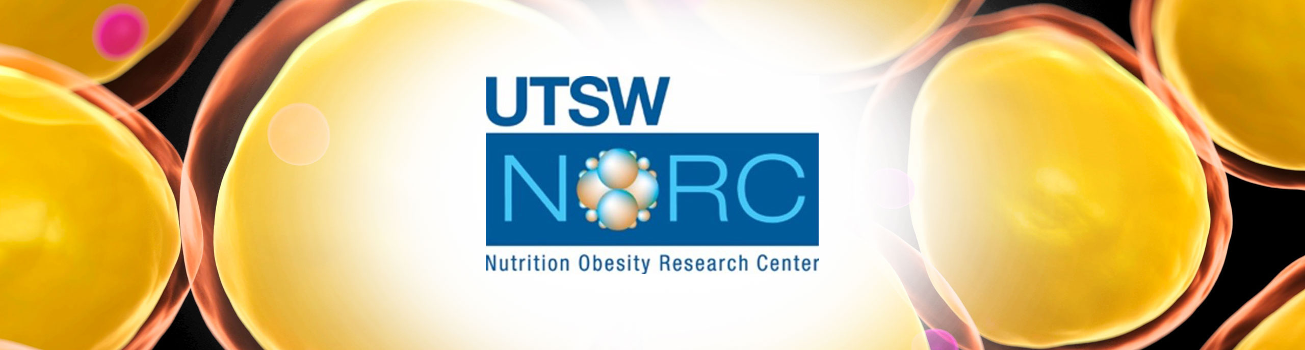 UTSW Nutrition & Obesity Research Center (NORC)
