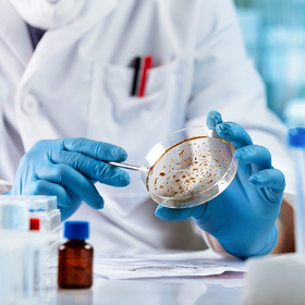 Metabolites produced by gut bacteria may protect against fungal infection
