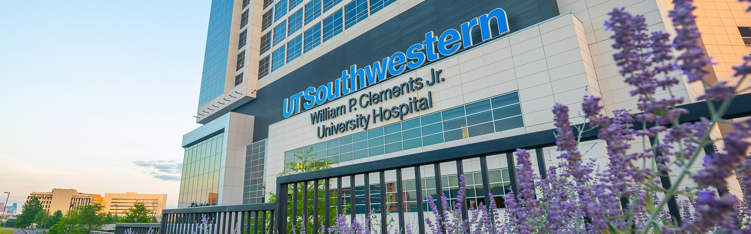 Clements University Hospital