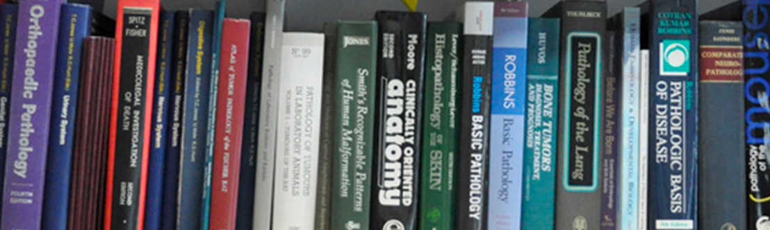 subpage banner 5 histopath consultation desktop tablet