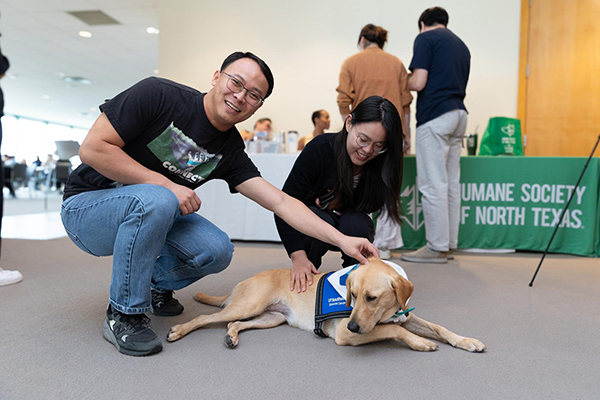 Man and woman pet yellow lab, Tia