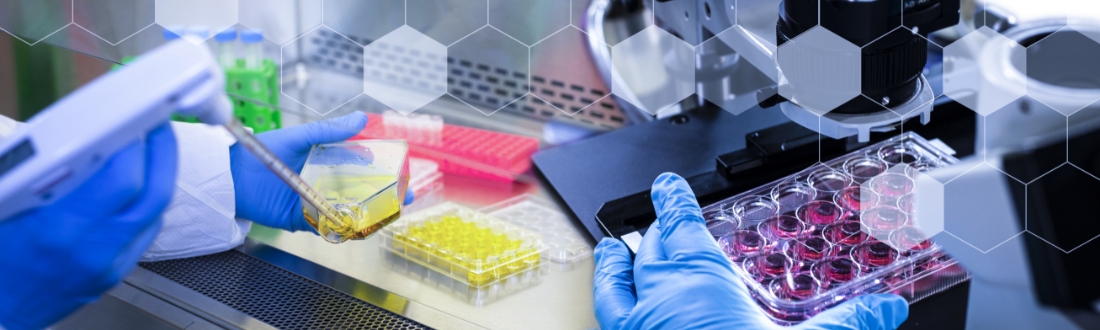 spa-process-basic-science-landing-banner.jpg