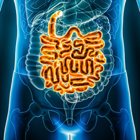UTSW researchers identify driver of inflammatory bowel disease