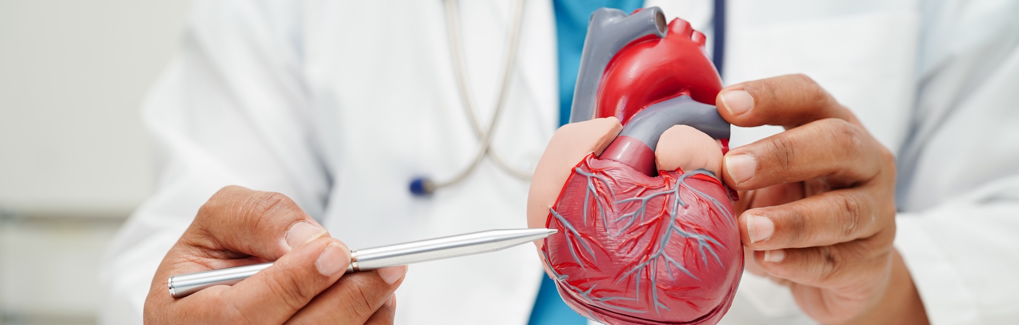 cardiovascular-banner.jpg