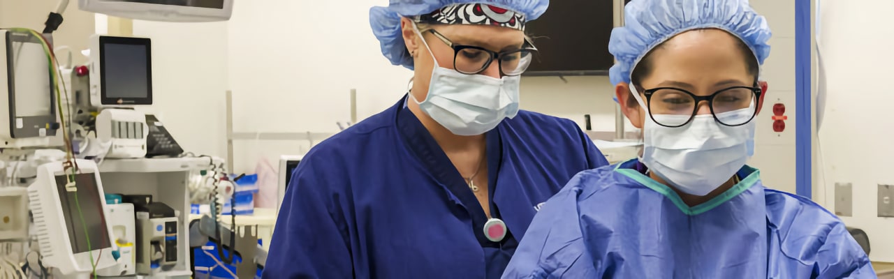 transplantation-banner-1280x400.jpg
