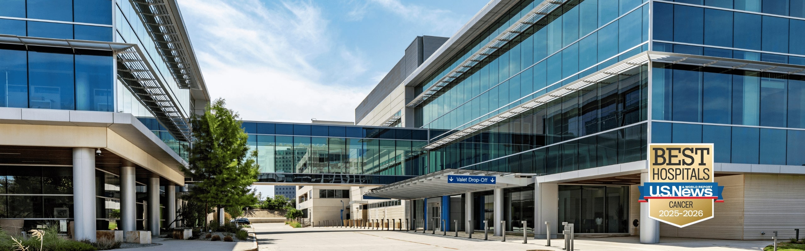 2025 Rad Onc Banner Bridge Desktop