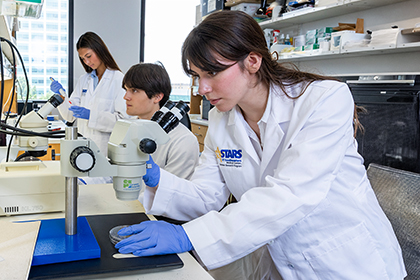3 scientists working in a lab.