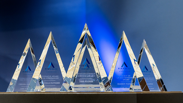 Pinnacle Awards gallery primary