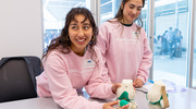 Ema Nunez, left, and Jessica Lynn, Research Technicians in the lab of Paula Hernandez, Ph.D., Assistant Professor of Orthopaedic Surgery and Biomedical Engineering, examine life-size models of the knee.