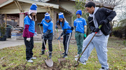 Participants work together to plant trees for a greener environment.