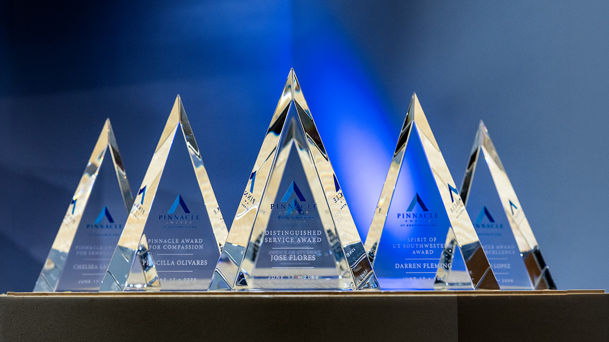 Pinnacle Awards gallery banner
