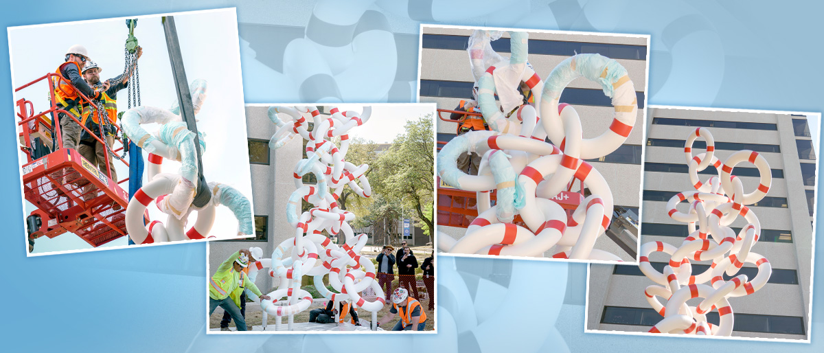Collage of 4 pictures of the Life Rings art installation
