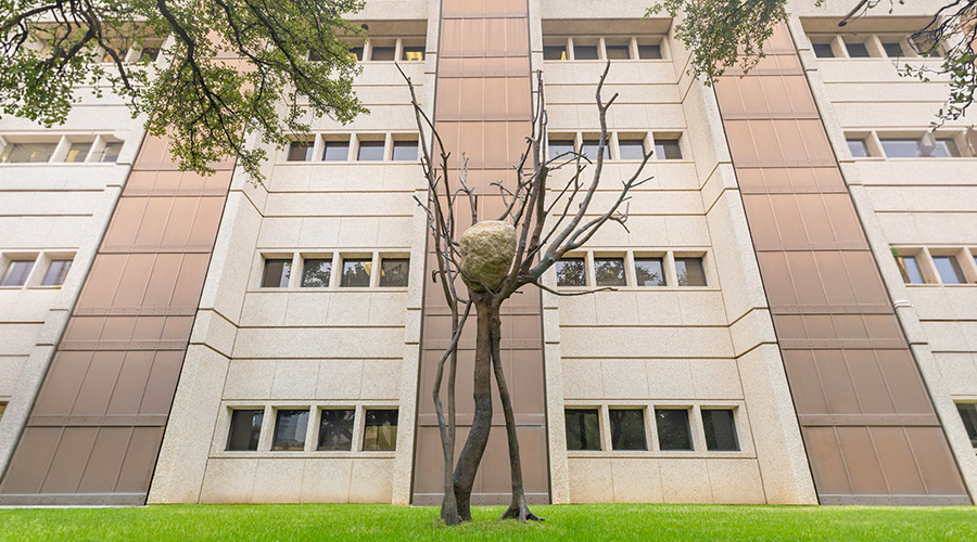 A statue of a stone in a bare tree.