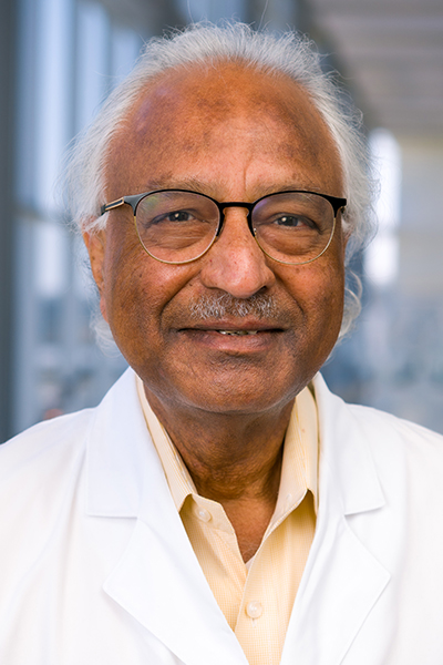 Anil K. Agarwal, Ph.D.