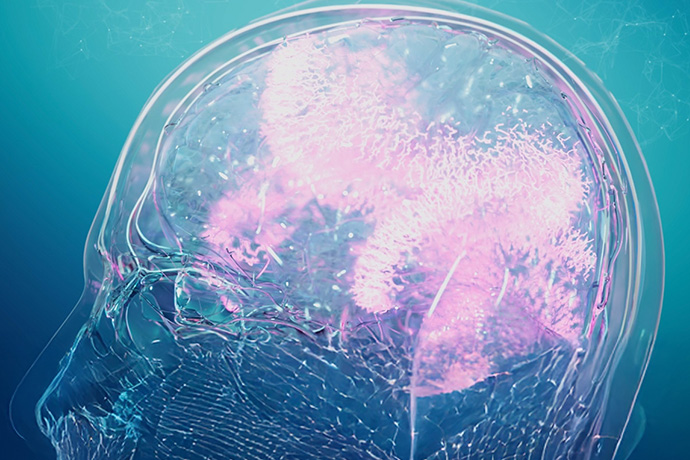 Human brain floating above a pair of hands.