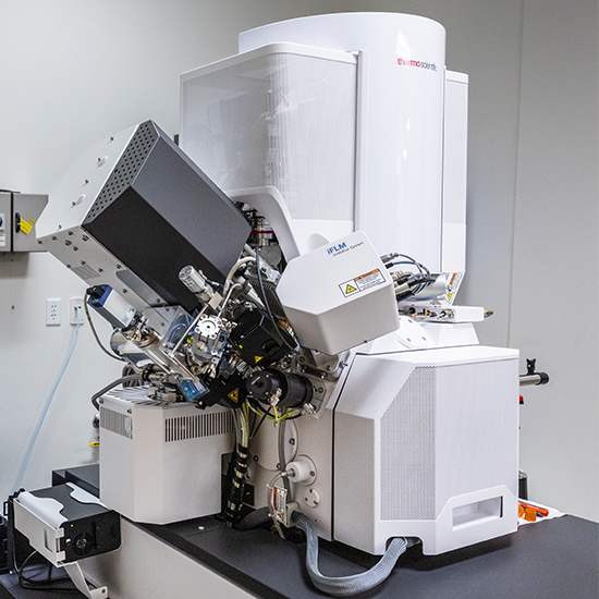 Hydra microscope.