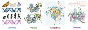 Graphic for research in