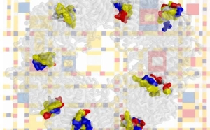 Graphic for research in Joachimiak lab