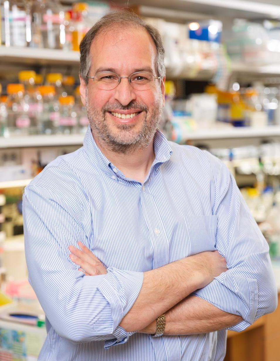 Mike Rosen, Ph.D.