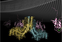 Graphic for Xuewu Zhang