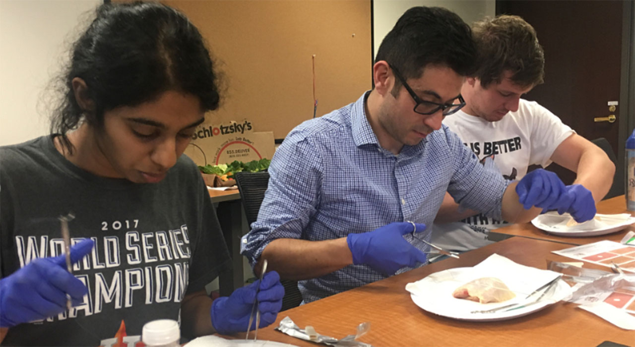 Three students in casual clothing practice suturing on pieces of meat