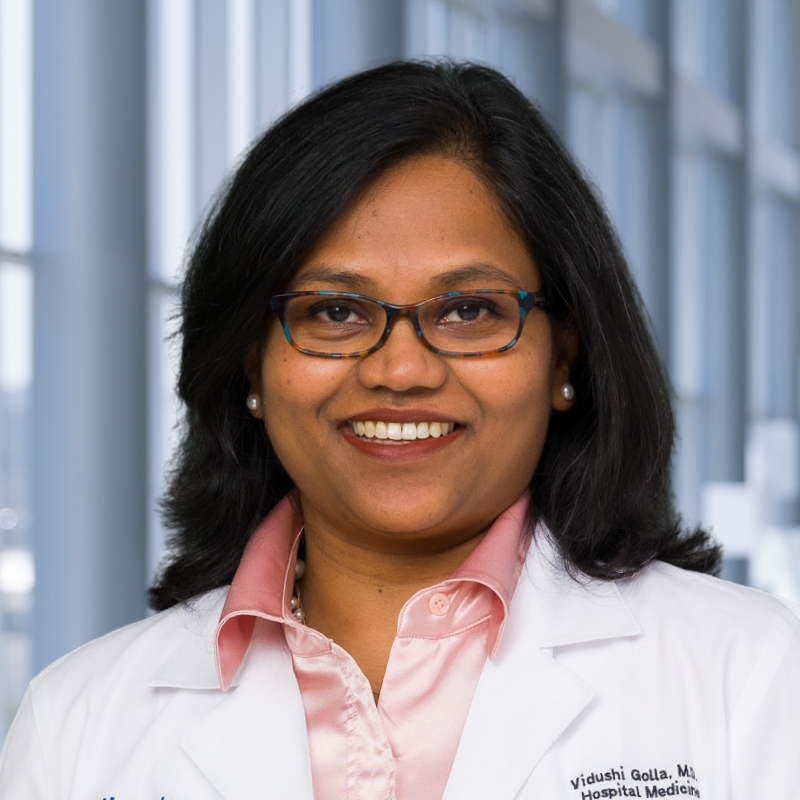 faculty portrait of Dr. Vidushi Golla