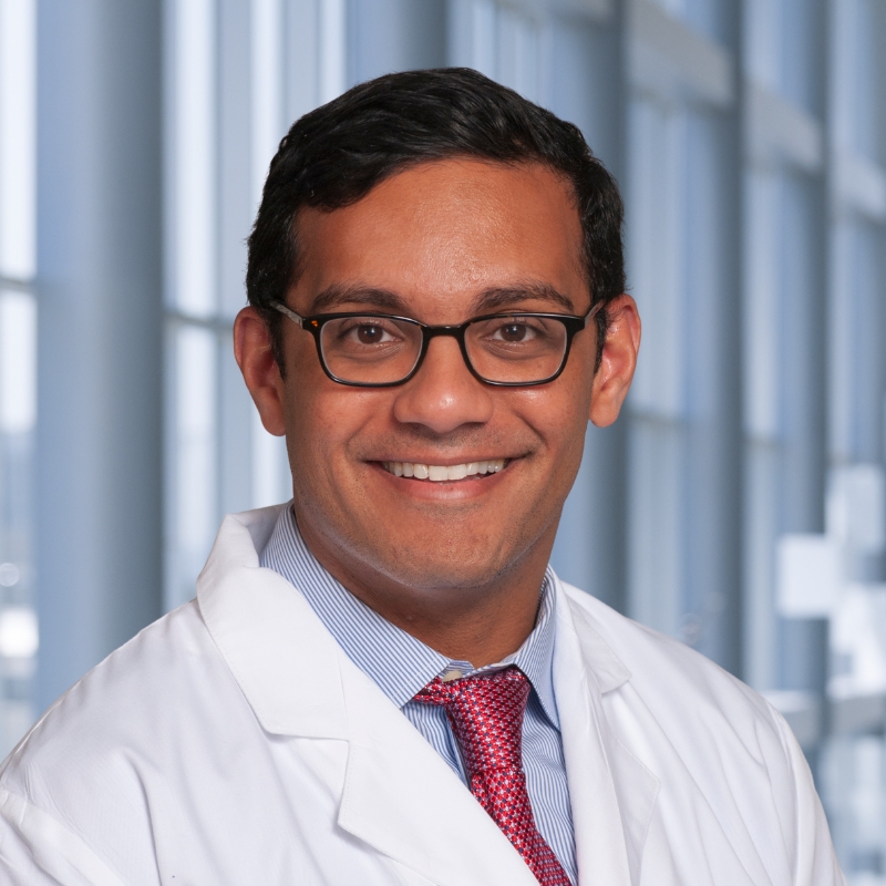 faculty portrait of Dr. Thomas Koshy