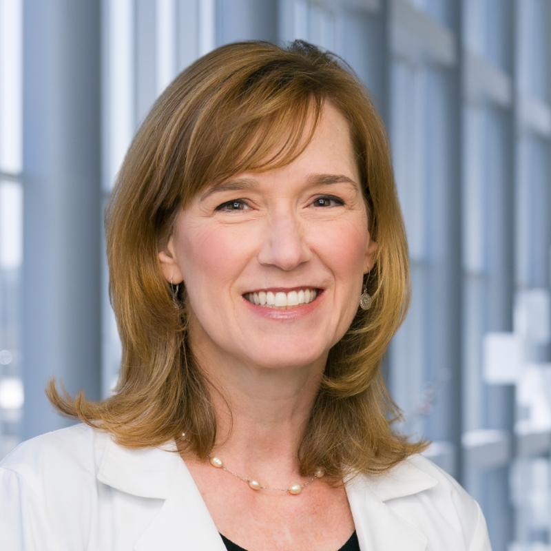 faculty portrait of Dr. Kelly Newcomer
